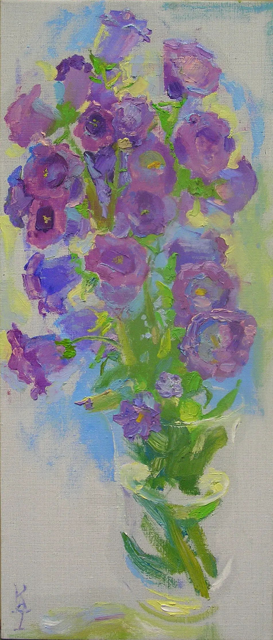 Campanula