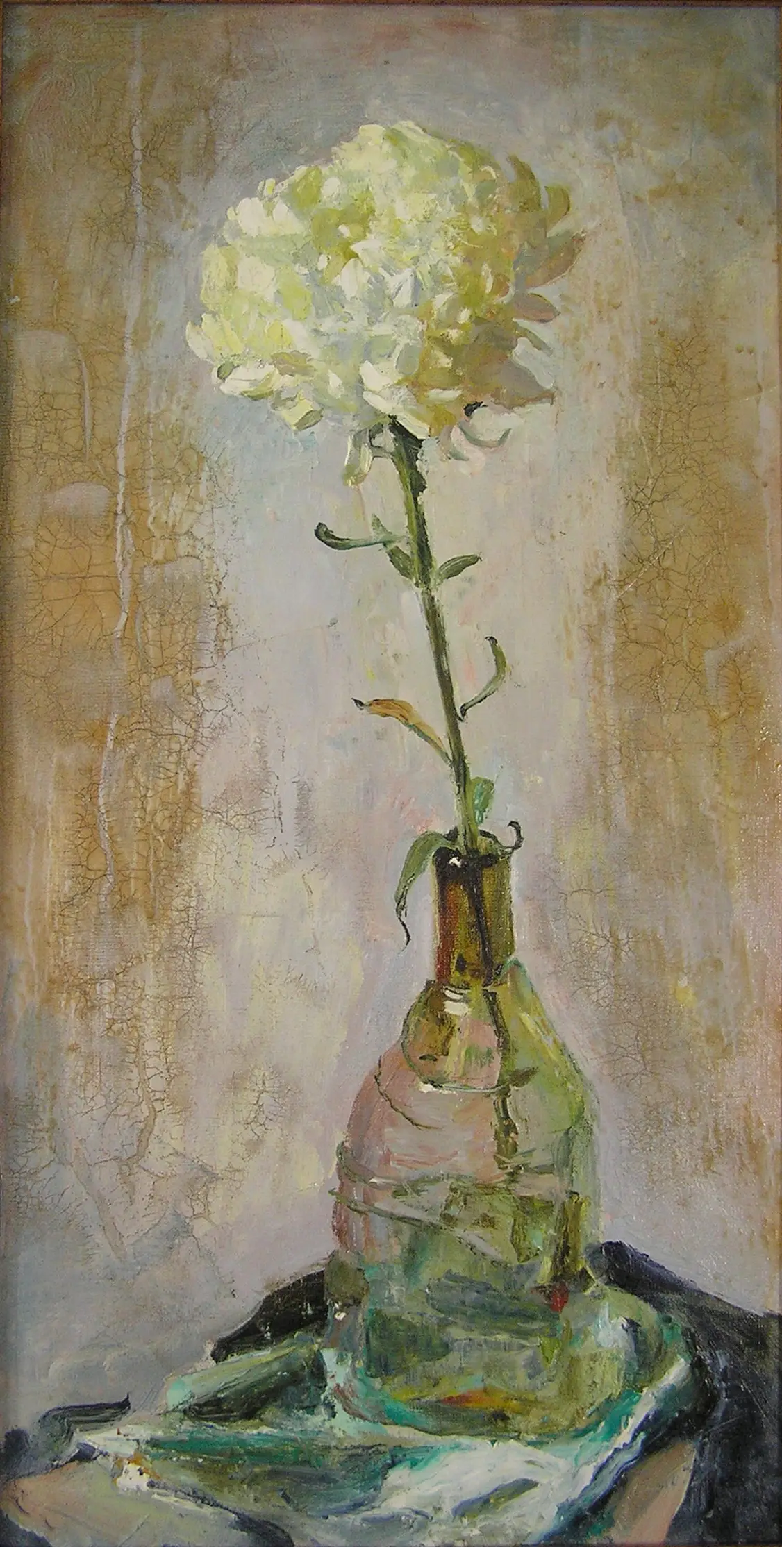 Chrysanthemums 04