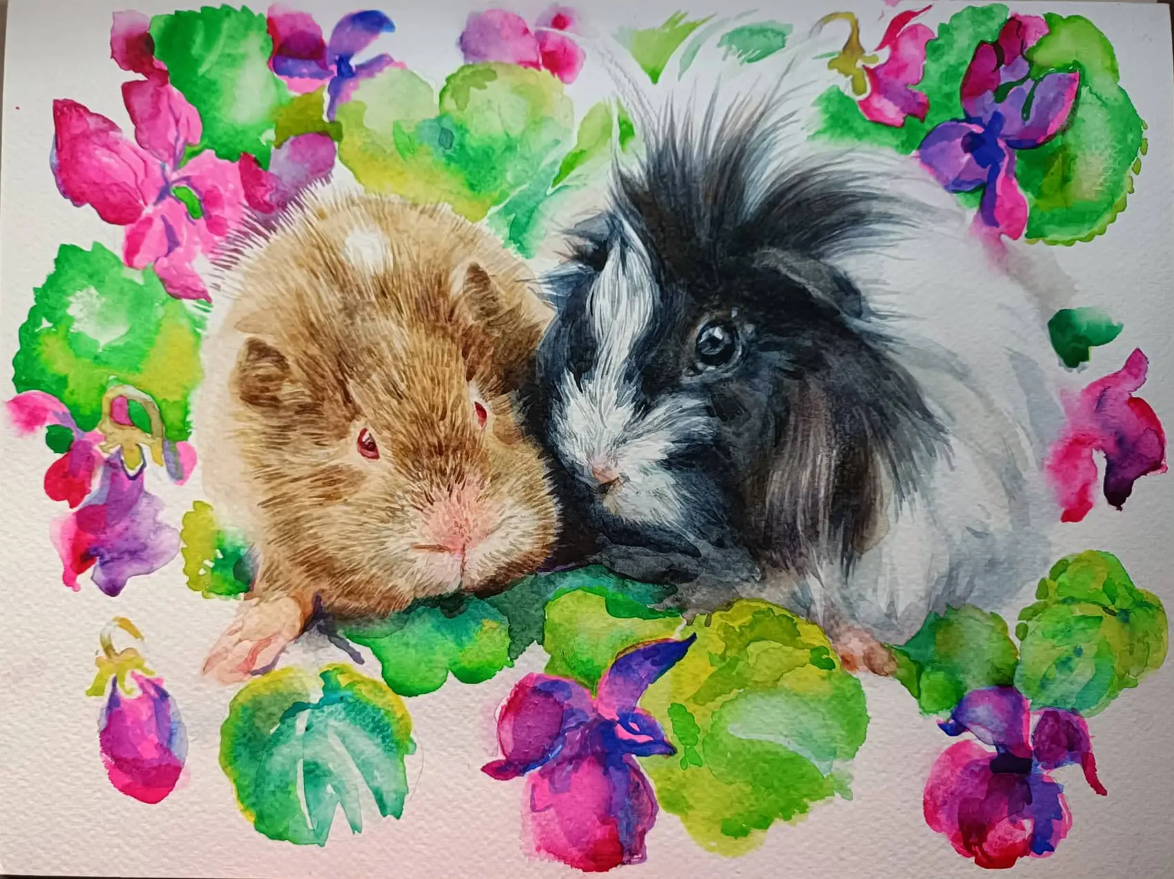 Guinea Pigs