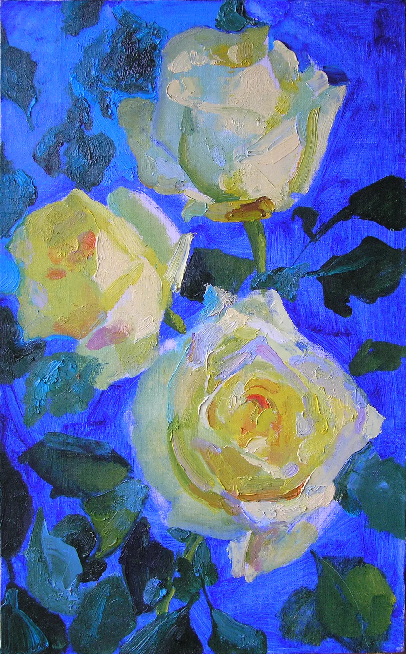 Roses 04